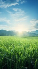 green wheat field background and copy space , generative ai