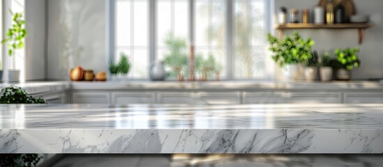 Modern Bright Kitchen with Marble Countertop and Green Plants by Sunlit Window