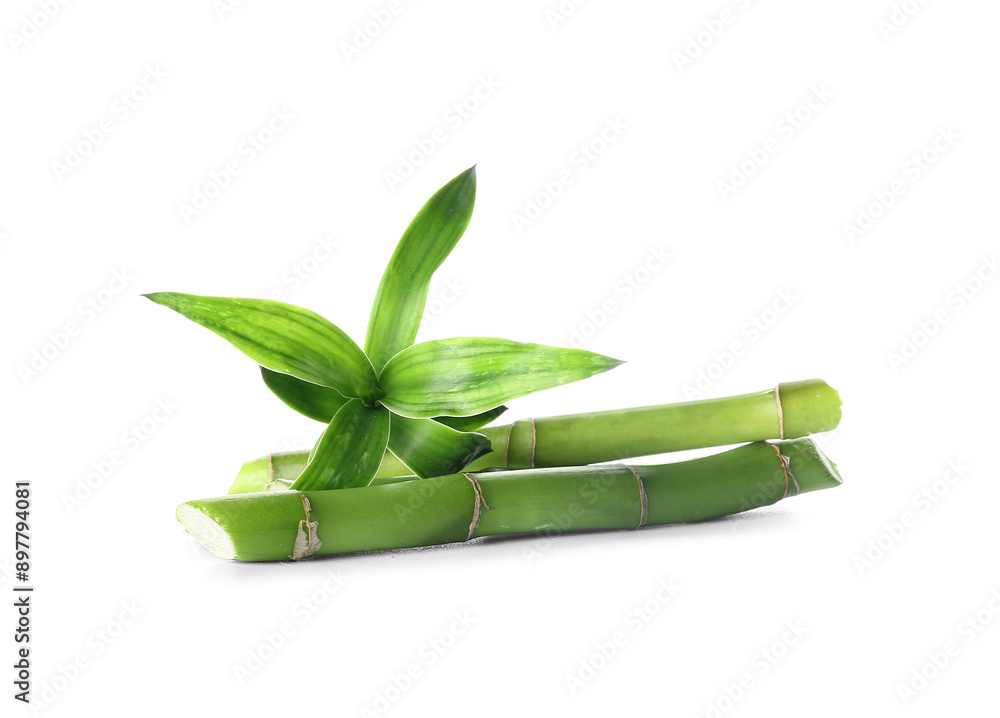 Canvas Prints Green bamboo stems on white background