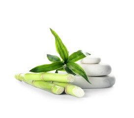 Green bamboo stems and spa stones on white background