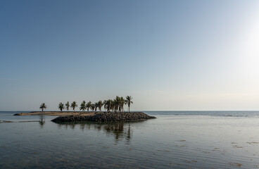 Fototapeta premium Sunset Bliss: Palm Trees Embrace the Evening Glow...