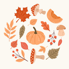 Vector set of autumn leaves, mushrooms, plants and pumpkin 