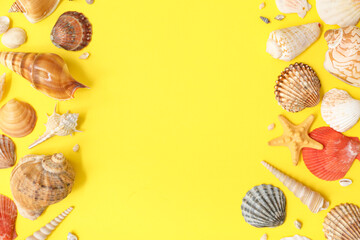 Frame made of different sea shells on yellow background