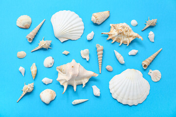 Many different sea shells on blue background