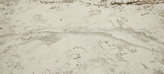 Sand beach sea river water stone rock cement sidewalk street road path nature vegetation...