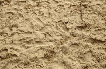 Sand beach sea river water stone rock cement sidewalk street road path nature vegetation...