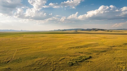 Fototapeta premium Marvel at the expansive beauty of a steppe landscape, capturing the vast, open plains from above.
