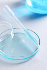 Transfer pipette and petri dish on white background, closeup