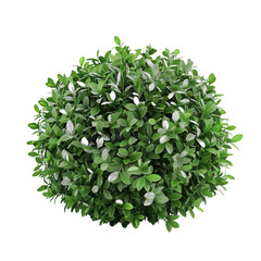 Beautiful Greenery. Nature and Landscape Concept