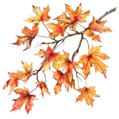 Fototapeta premium autumn leaves isolated on white