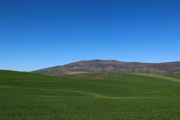 green hill and blue sky