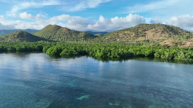 Morning sunlight illuminates the mangrove-fringed island of Lembata, Indonesia. This beautiful and biodiverse area is part of the famed Ring of Fire and is home to high marine biodiversity.