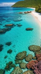 Fototapeta premium turquoise water and corals on a beach with a mountain in the background
