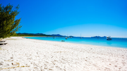 Fototapeta premium White sands and turquoise waters of Whitehaven beach