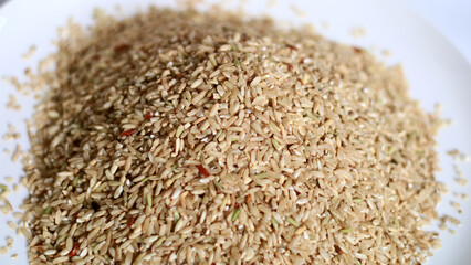 Germinated brown rice on white background.