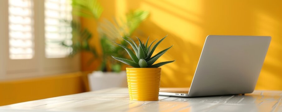 Person working at a minimalist home office with a clean desk, a laptop, and a single plant, highlighting a productive and clutter-free workspace, with copy space for text