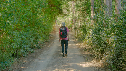 Obraz premium Traveler exploring a forest path