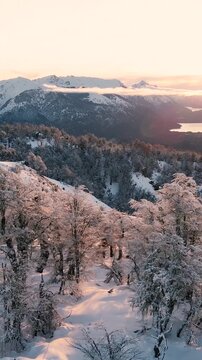 Bosque Nevado en Invierno en las Monta&ntilde;as -Video de Drone Vertical 
