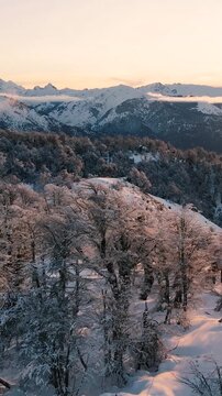 Bosque Nevado en Invierno en las Monta&ntilde;as -Video de Drone Vertical 