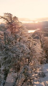 Bosque Nevado en Invierno en las Monta&ntilde;as -Video de Drone Vertical 