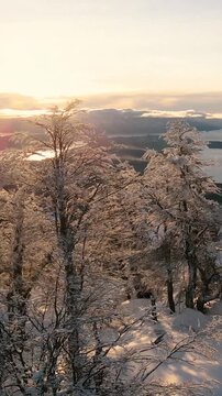 Bosque Nevado en Invierno en las Monta&ntilde;as -Video de Drone Vertical 