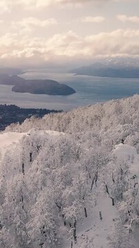 Bosque Nevado en Invierno en las Monta&ntilde;as -Video de Drone Vertical 