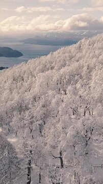 Bosque Nevado en Invierno en las Monta&ntilde;as -Video de Drone Vertical 
