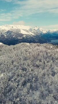Bosque Nevado en Invierno en las Monta&ntilde;as -Video de Drone Vertical 