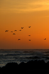 sunset over the sea