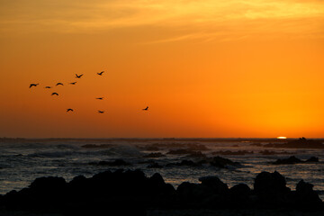 sunset over the sea