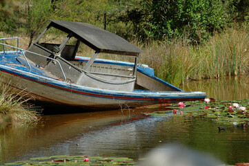 Small boat in pond