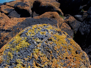 Volcanic rocks