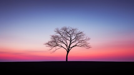 Obraz premium silhouette minimal trees