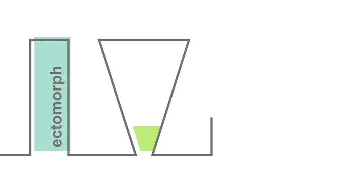 Body types animated presentation. Minimalistic geometry style infographic. Ectomorph, mesomorph and endomorph. Human body constitution shapes
