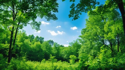 Obraz premium leaves green blue