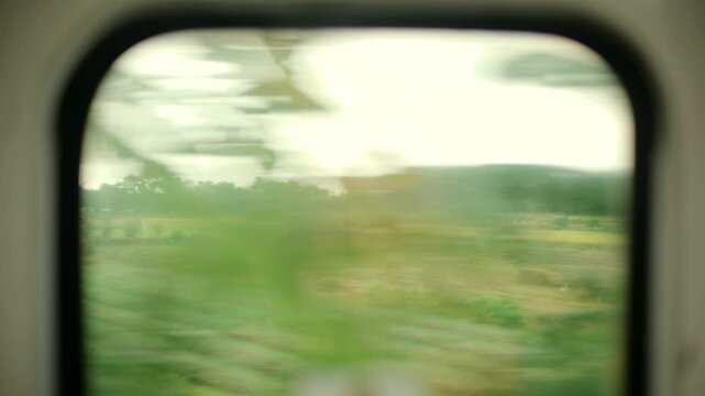 Captivating Views of Rice Fields While Traveling by Train