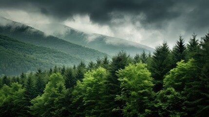 Fototapeta premium sky green gray