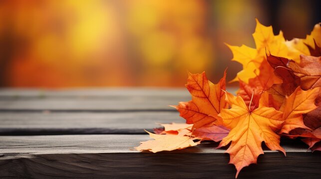 foliage fall leaves with wood