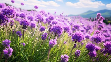 Obraz premium flowers green and purple