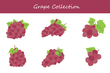 grapes collection. grapes in different poses. Vector illustration.