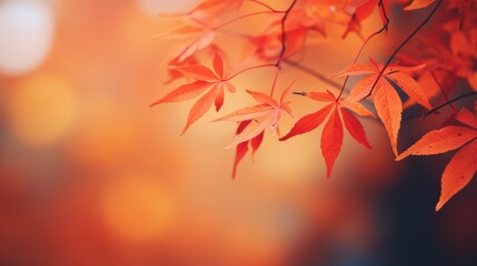 foliage blurry leaves