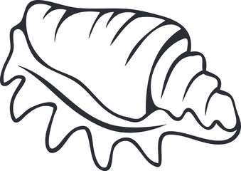 shell illustration