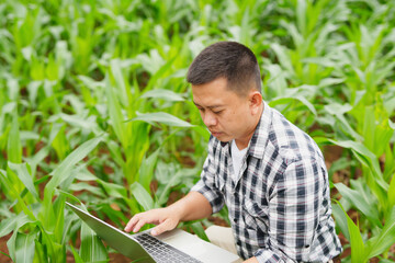 Hands of farmer, Agriculture technology farmer man using tablet Modern technology concept agriculture.