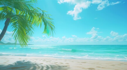 Obraz premium beach with palm trees