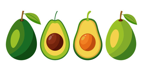 Assorted Avocado Fruit Illustration in Various Styles 