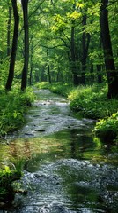 Obraz premium A serene springtime stream winds through lush greenery, with crystalline water reflecting dappled sunlight. Tender shoots and vibrant flora line the banks, creating a tranquil natural panorama.