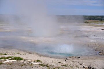 steaming Spasm Geyser in the Lower Geyser Basin of Yellowstone National Park in USA