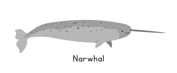 Narwhal vector illustration. Unicorn of the sea cartoon clipart, animal in flat style. Sea animals, underwater creatures, ocean animals, marine life concept. Narwhal vector design isolated on white © Vinh