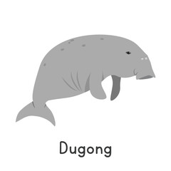 Dugong vector illustration. Cute dugong or sea cow cartoon clipart, animal in flat style. Sea animals, underwater creatures, ocean animals, marine life concept. Dugong vector design isolated on white