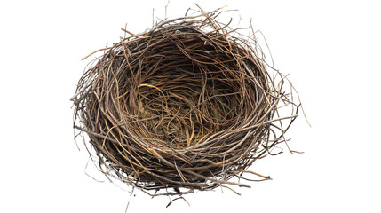 bird nest isolated on transparent white background, clipping path